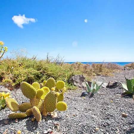 شقة Luxe Punta Mujeres Sea Views! *
